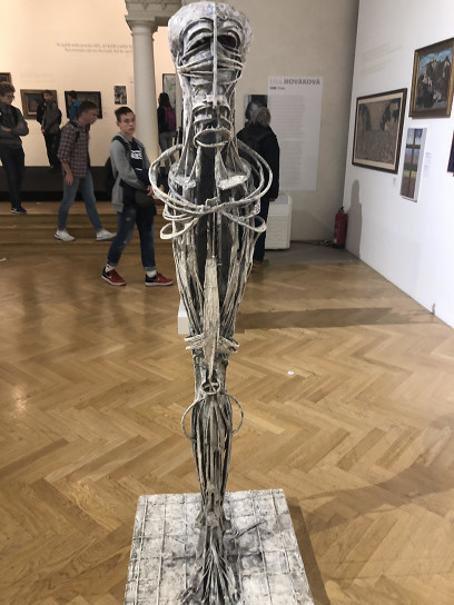 V expozici