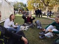 DOD Velvyslanectví SRN6 DOD Velvyslanectví SRN6