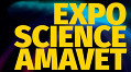 logo AMAVET logo AMAVET