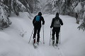 lvvz č. 1 2025 lvvz č. 1 2025