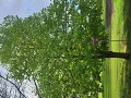 Sekundy v Libici nad Cidlinou a Poděbradech Sekundy v Libici nad Cidlinou a Poděbradech