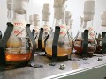 V. Košťálová OV AV ČR 2024 V. Košťálová OV AV ČR 2024