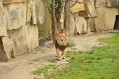 ZOO Praha