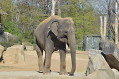 zoo praha 2 zoo praha 2