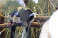 ZOO Praha 2023 ZOO Praha 2023
