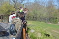 zoo praha 3 zoo praha 3