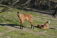 zoo praha 5 zoo praha 5